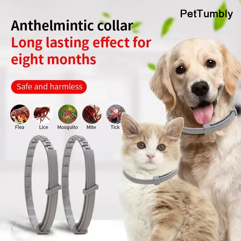 Pet Immune Pir Sensor - ปลอกคอสุนัขป้องกันเห็บหมัดและเห็บแมวอุปกรณ์เสริมสำหรับสัตว์เลี้ยง8เดือนสามารถปรับได้โดยอัตโนมัติ
