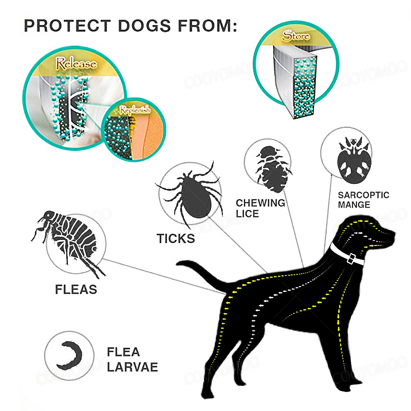 ปลอกคอกันเห็บและหมัดสำหรับสุนั - Pet Immune Pir Sensor บทวิจารณ์และราคา