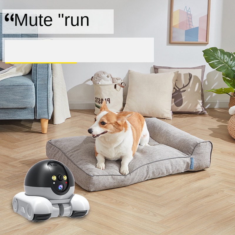 สมาร์ทเลนส์คู่กล้องหุ่นยนต์โดม - Home Security Robot Dog บทวิจารณ์และราคา
