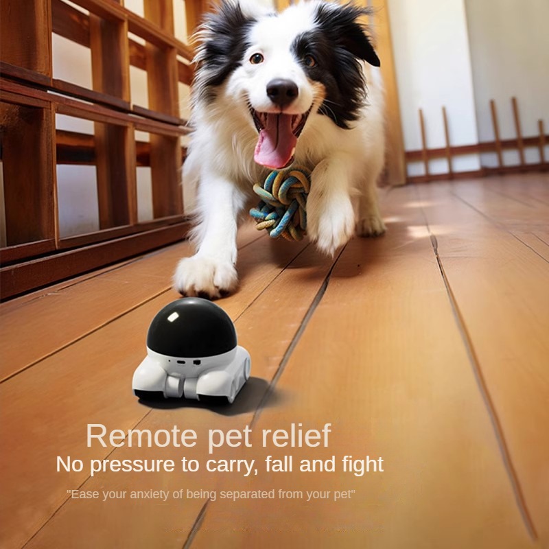 สมาร์ทเลนส์คู่กล้องหุ่นยนต์โดม - Home Security Robot Dog บทวิจารณ์และราคา