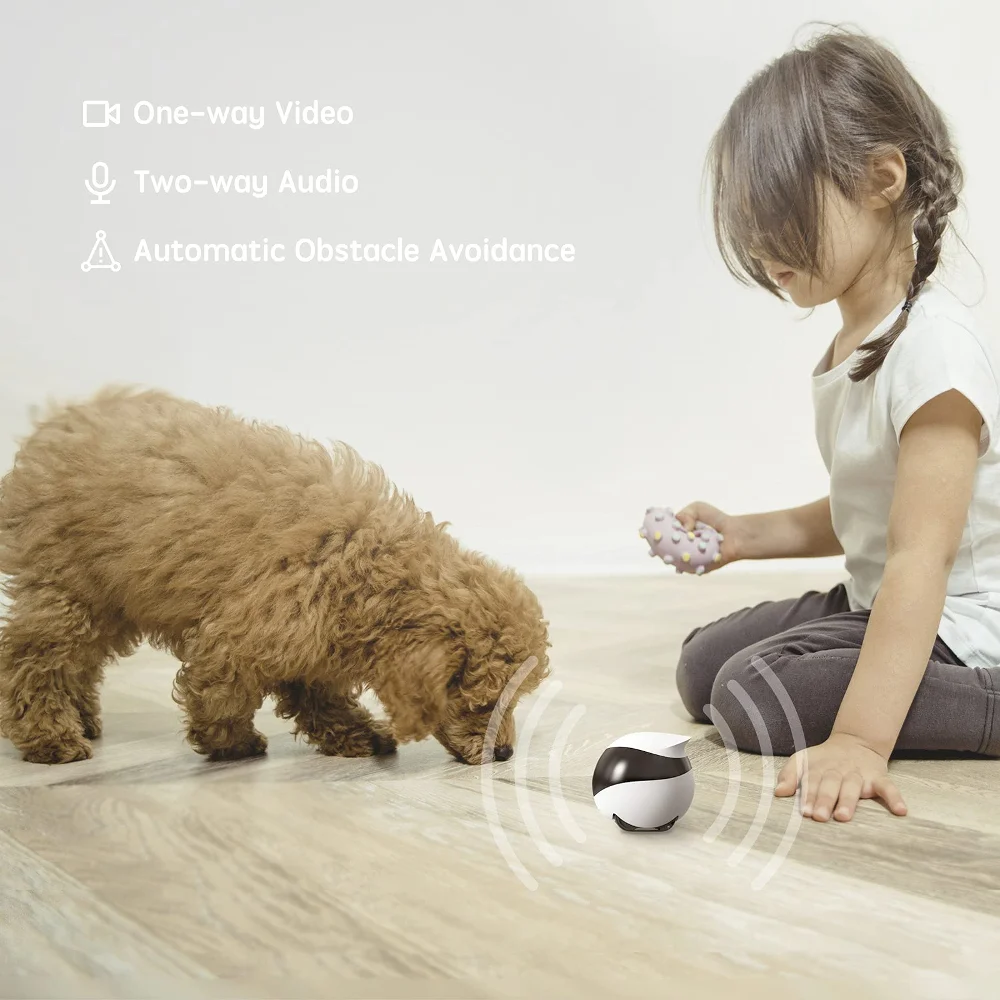 SE กล้องหุ่นยนต์สําหรับสุนัขแม - Home Security Robot Dog บทวิจารณ์และราคา